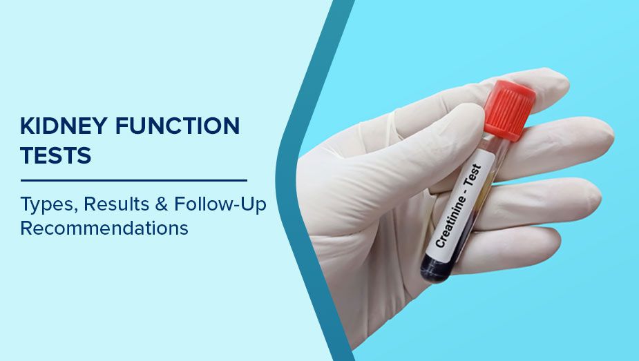 Kidney Function Test (KFT / RFT)